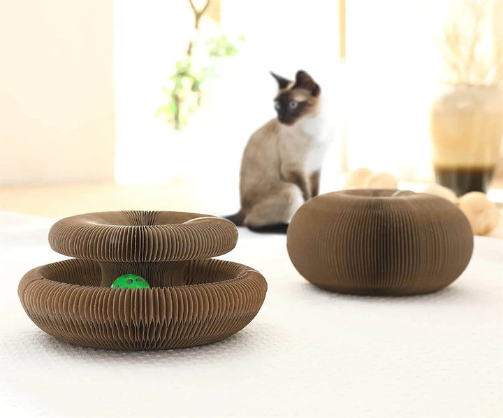 Magisk Orgel Klorebrett for Katt med Lekeklokkeball