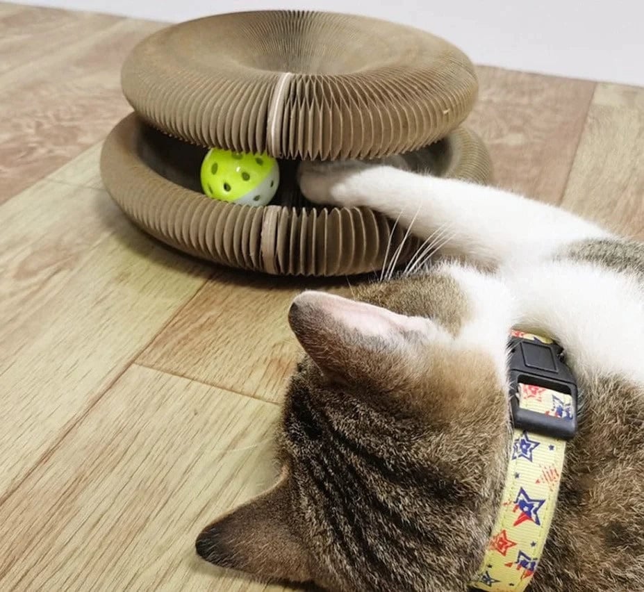 Magisk Orgel Klorebrett for Katt med Lekeklokkeball