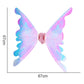 Rechargeable Electric Fairy Wings with LED Lights and Music